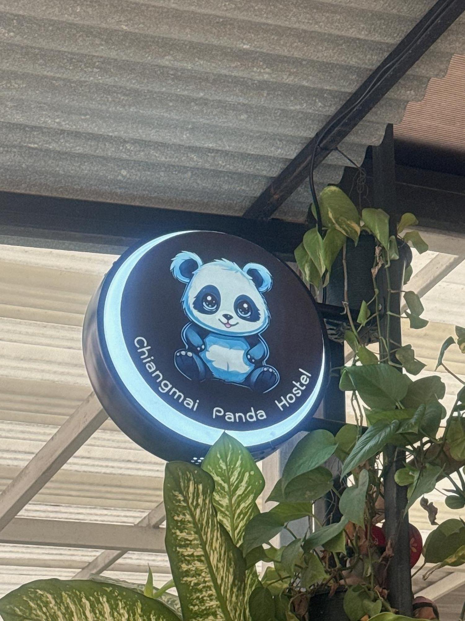 Chiang Mai Panda Hostel Exterior photo